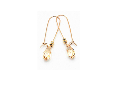 Fashionable Ear Wire Dainty Gemstone Earrings